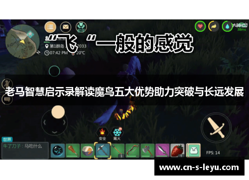 老马智慧启示录解读魔鸟五大优势助力突破与长远发展