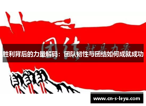 胜利背后的力量解码：团队韧性与团结如何成就成功