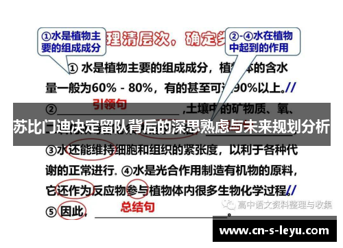 苏比门迪决定留队背后的深思熟虑与未来规划分析