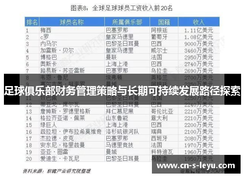 足球俱乐部财务管理策略与长期可持续发展路径探索