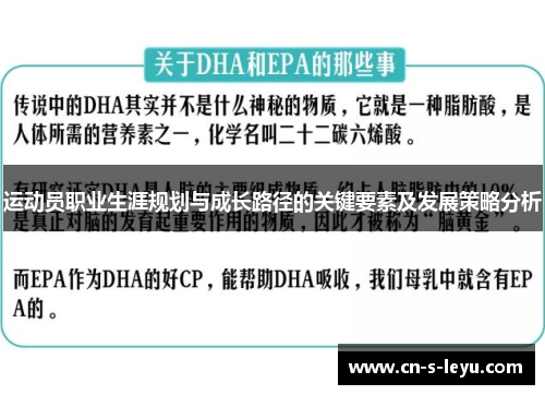 运动员职业生涯规划与成长路径的关键要素及发展策略分析