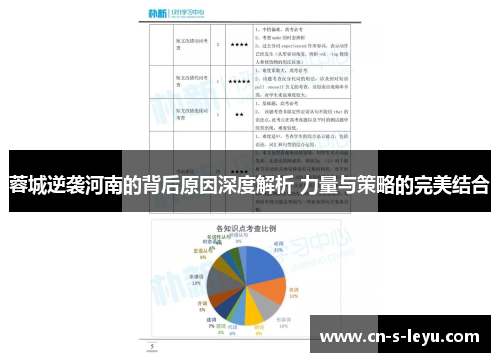 蓉城逆袭河南的背后原因深度解析 力量与策略的完美结合