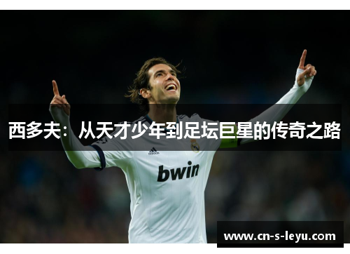 西多夫：从天才少年到足坛巨星的传奇之路