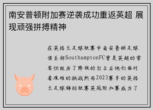 南安普顿附加赛逆袭成功重返英超 展现顽强拼搏精神